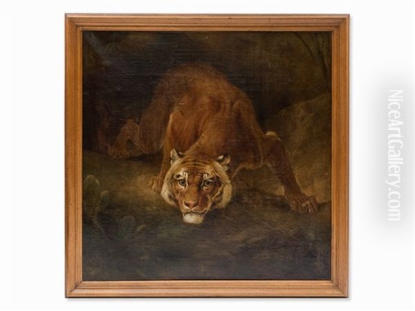 A Crouching Tiger - view 1