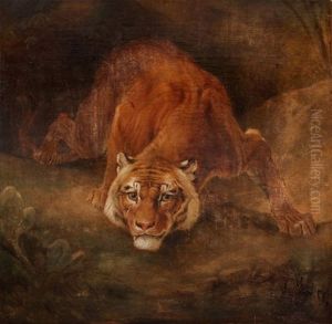 Tigre
