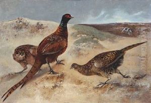 Heathland With Pheasants Who Discover A Hunting Dog by Charles Verlat