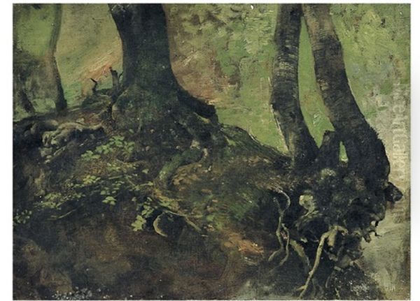 Alberi (studio) - view 1