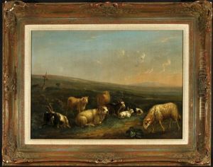 Schafe Und Ziegen In Abendlicher Weidelandschaft