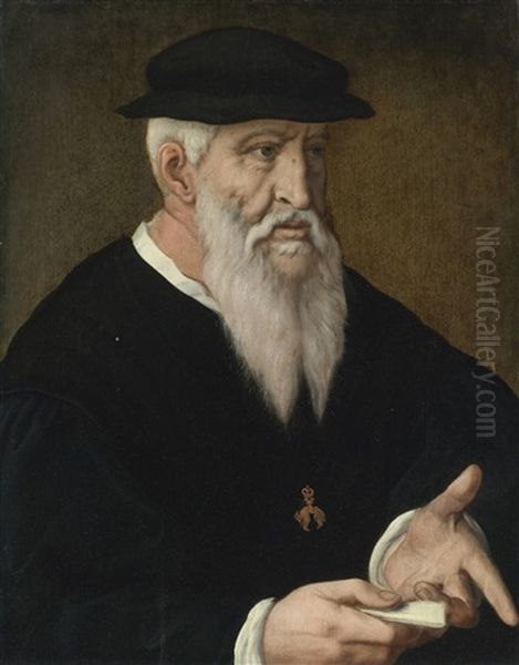 Portrait Of A Knight Of The Golden Fleece - view 1