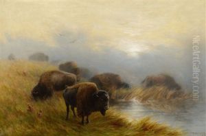 Grazing Buffalo by Frederick Arthur Verner