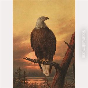 The Monarch Of The Skies