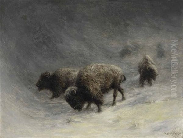 Buffalo In A Blizzard - view 1