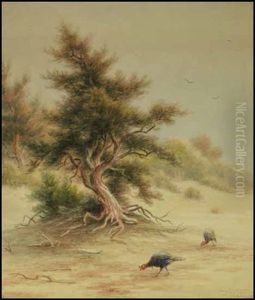 Wild Turkeys Beneath A Tree Wild Turkeys Beneath A Tree
