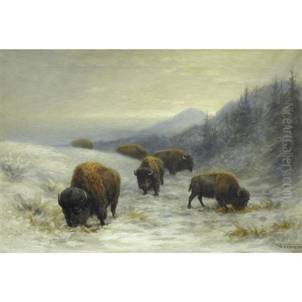 Buffalo Grazing, Winter - view 1