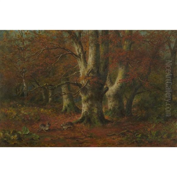 Forest Interior With Rabbits - view 1