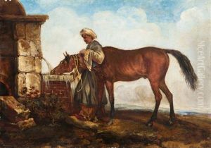 Cheval Arabe Et Son Cavalier Buvant A La Fontaine