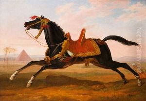 Cheval Mamelouk Cheval Mamelouk