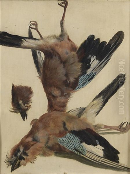 Study Of Jays - view 1