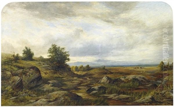 Weite Englische Landschaft Mit Vereinzelten Kuhen Und Schafen - view 1