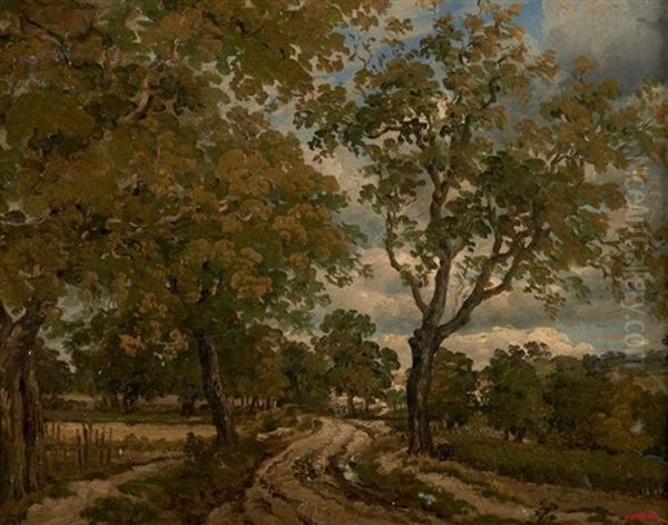 Chemin Dans Un Sous-bois - view 1