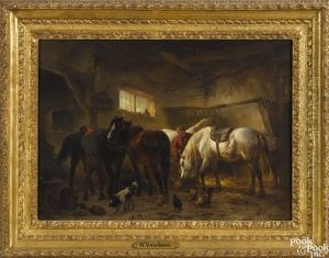 Stable Scene Stable Scene