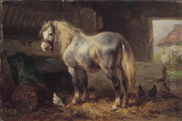 A Grey In A Stable - view 1