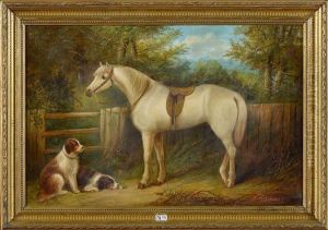Cheval Blanc Et Chiens De Chasse Au Repos A La Barriere