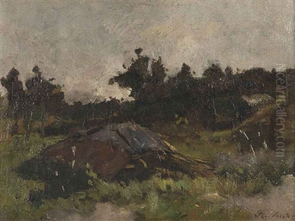 Surroundings Of Bergen - view 1