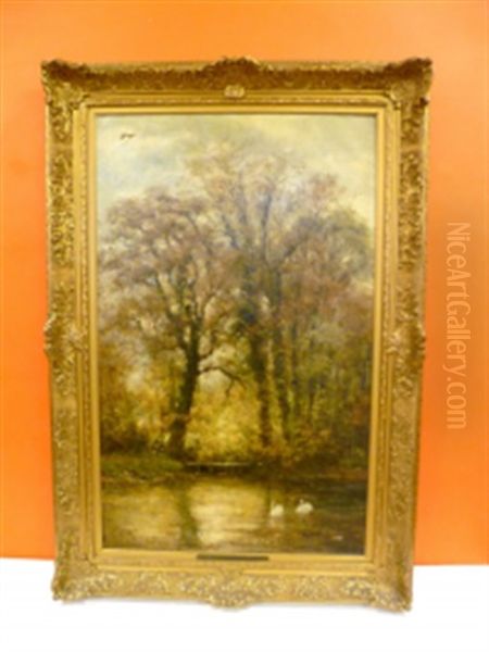 Etang - view 1