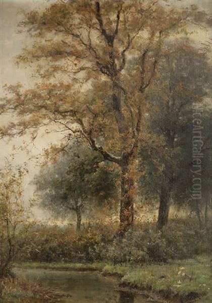 Paysage Aquatique Aux Arbres - view 1