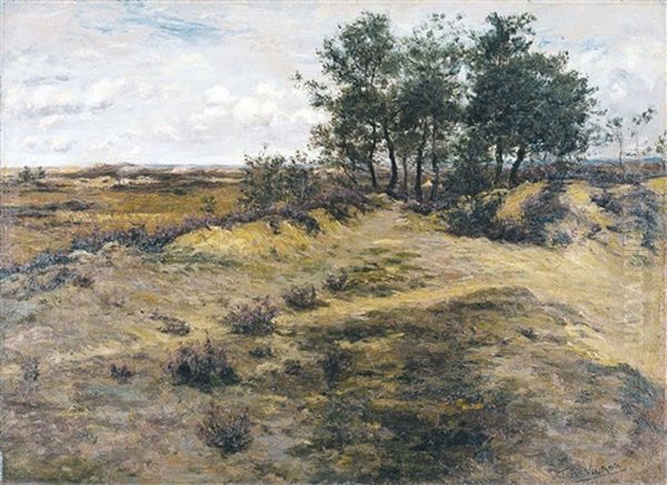 Les Dunes, Calmpthout - view 1