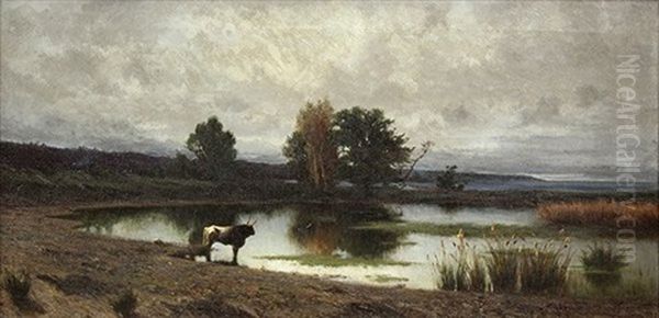 Bull In Roman Countryside - view 1