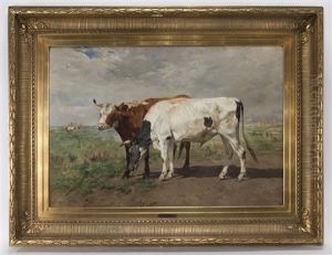 Untitled (brown And White Cows)