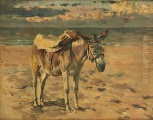Ane Sur La Plage