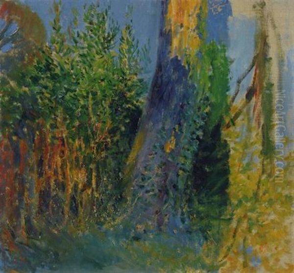 Bosco - view 1