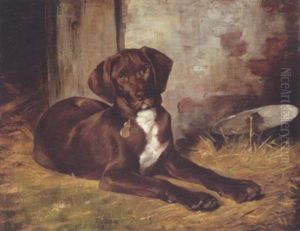 A Dog by Geza Vestagh