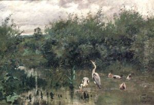 Herons And Ducks In A Lake