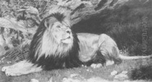 A Lion by Geza Vestagh