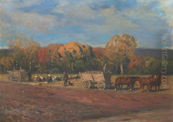 Potato Harvest - view 1