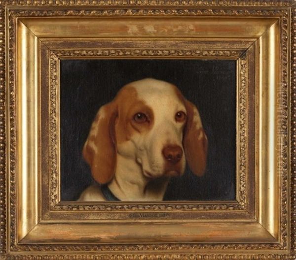 Chien De Chasse - view 1