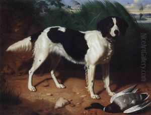 Tricolour Setter With Duck In A River Landscape