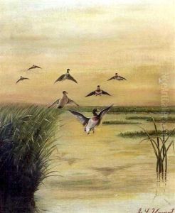 Flock Of Ducks In Flight Over A Louisiana Bayou Flock Of Ducks In Flight Over A Louisiana Bayou