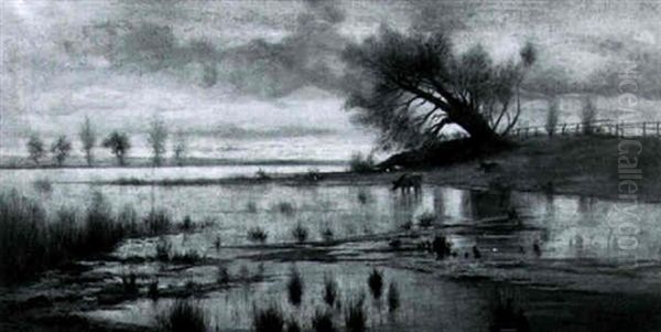 Storm-twisted Oak And Cattle Watering - view 1