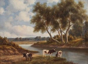 Cattle By A Stream Cattle By A Stream