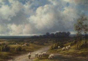 Sheep In A Meadow Sheep In A Meadow