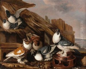 Pigeons Sur Un Toit