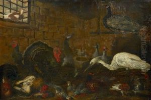 Dindons, Paons, Herons, Pintades, Faisans, Poules Et Coqs by Giacomo (Jacobus) Victors