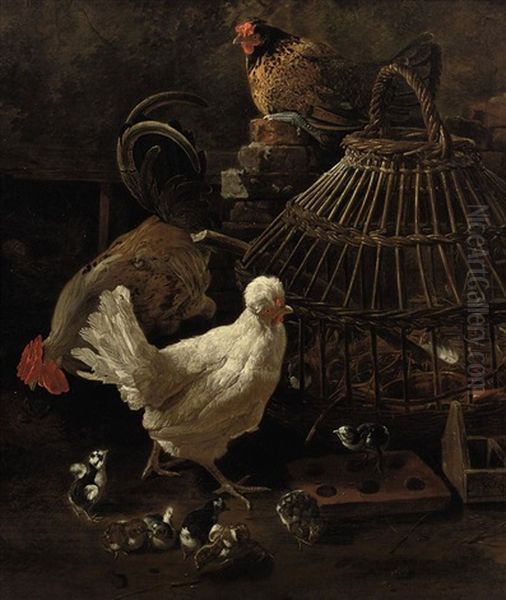 Three Hens With Chicks Near A Reed Cage - view 1