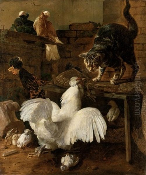 Zuffa Nel Cortile Tra Gatto E Gallina - view 1