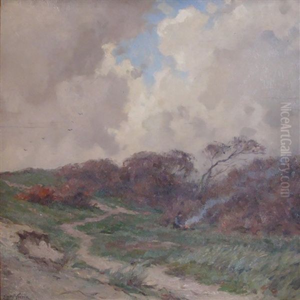 Windy Weather In The Dunes, Domburg - view 1