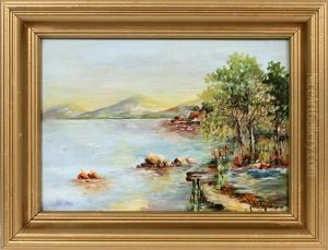 New Mexico Shoreline Landscape