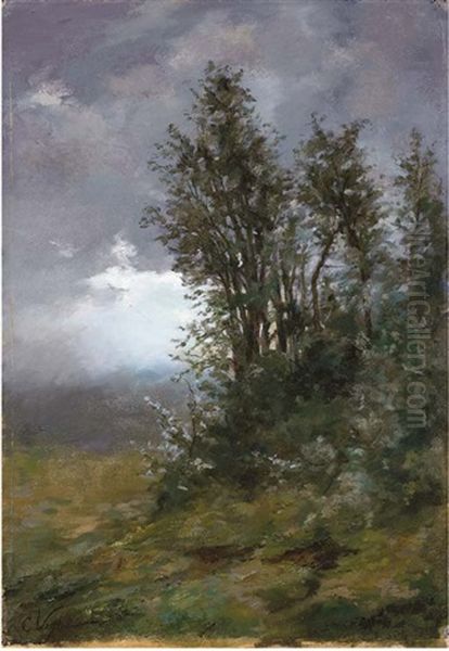 Luci Sulla Collina - view 1