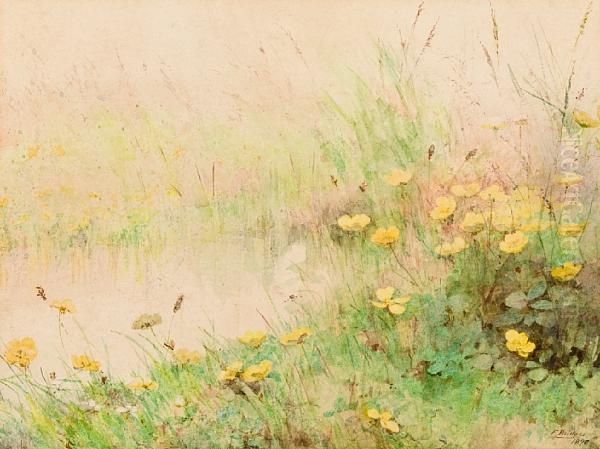 Wild Yellow Primroses - view 1