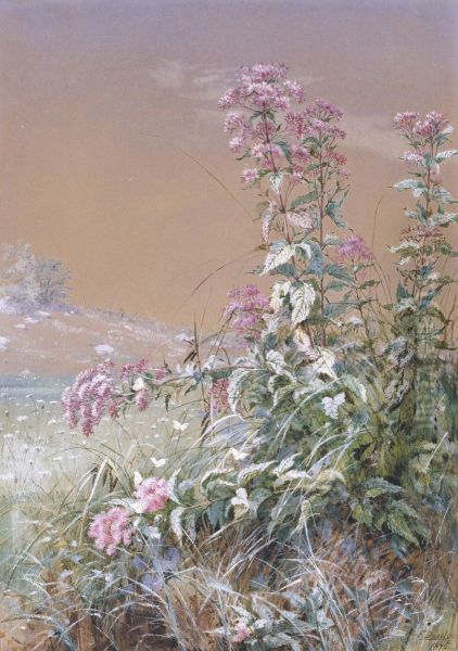 Untitled - view 1