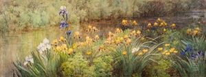 Irises Along The River by Fidelia Bridges