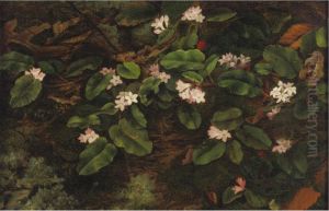 Primroses by Fidelia Bridges