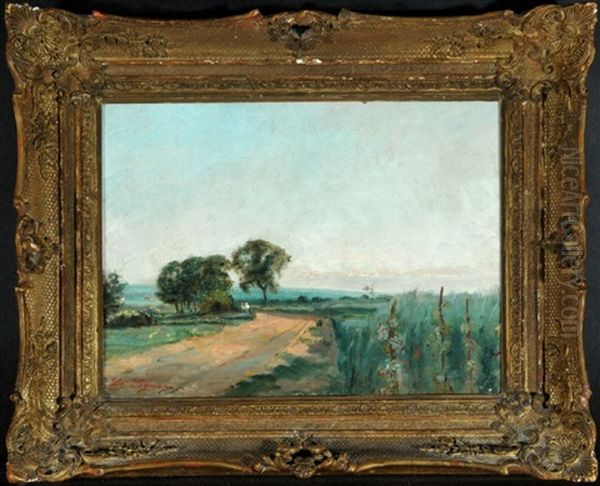Feldweg In Weiter Landschaft - view 1